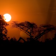 africa2006 CRW 3247 : Africa Afrika, Natur Nature, Urlaub