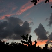 CRW 3926 : Crete, Greece, Griechenland, Holiday, Kreta, Urlaub