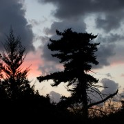 CRW 3931 : Crete, Greece, Griechenland, Holiday, Kreta, Urlaub