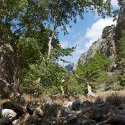 CRW 4093 : Crete, Greece, Griechenland, Holiday, Kreta, Urlaub