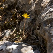 CRW 4291 : Crete, Greece, Griechenland, Holiday, Kreta, Urlaub