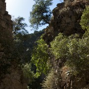 CRW 4336 : Crete, Greece, Griechenland, Holiday, Kreta, Urlaub